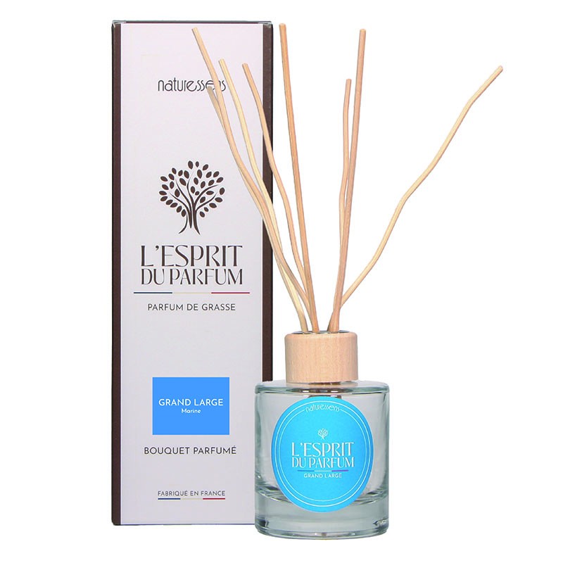 BOUQUET DIFFUSEUR PARFUME GRAND LARGE